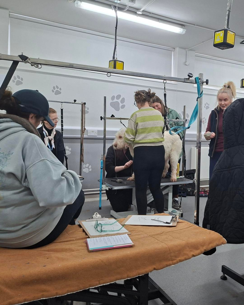 featured news thumbnail