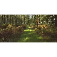 PPS Challenges (Invitation Only)