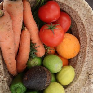 Novus Rowen Thumbnail